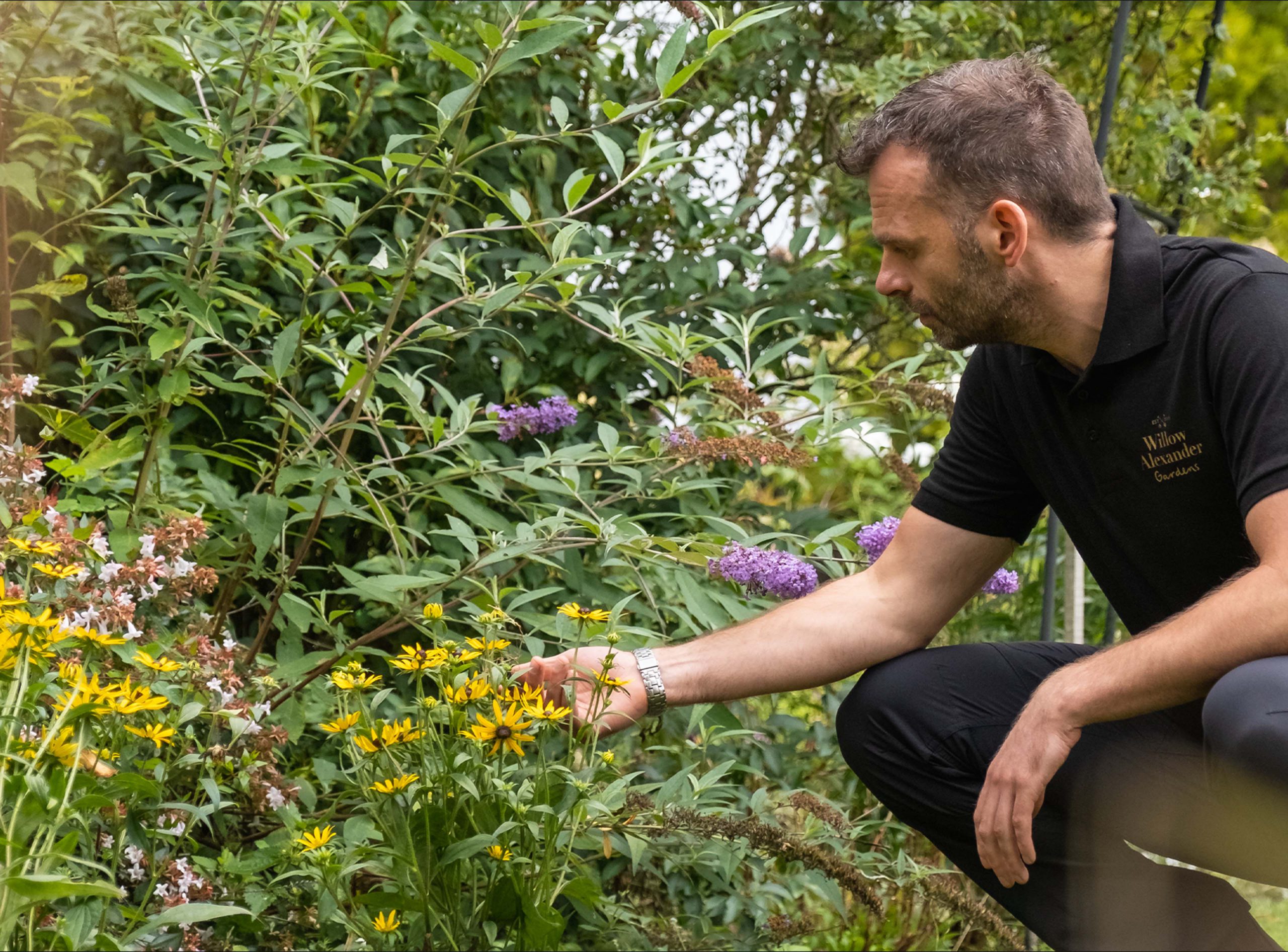 A Willow Alexander Gardens team member assessing the flowers during a gardening job