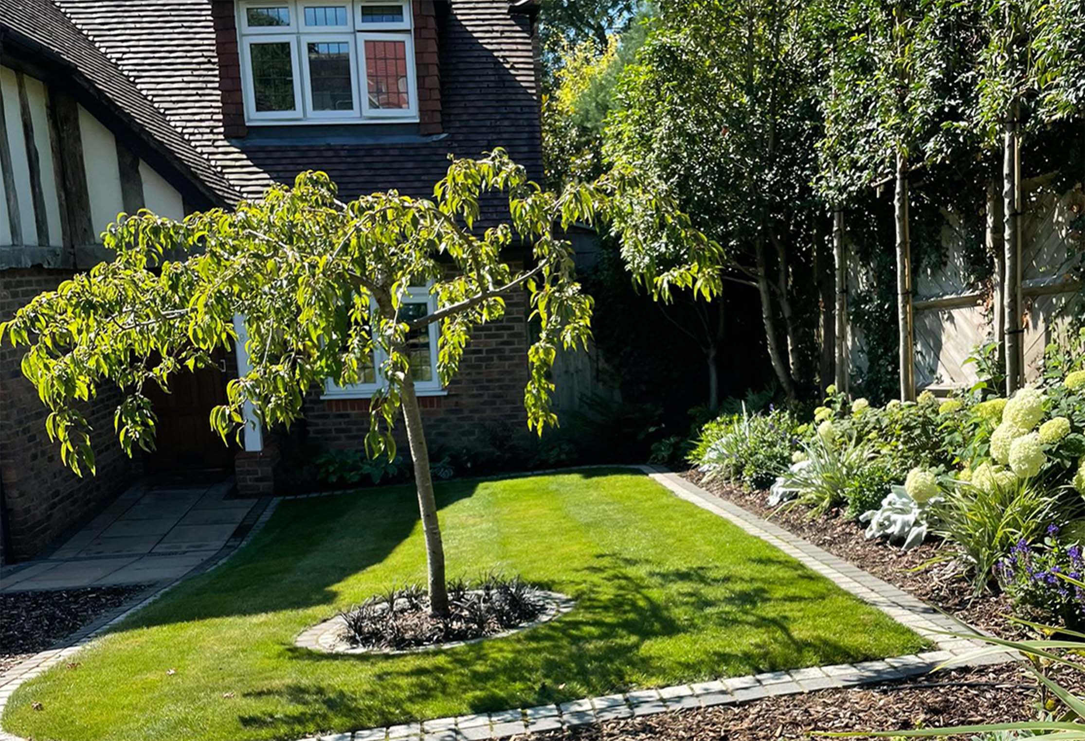 A solo planted tree in a back garden surrounded by an ornate stone arrangement on a well-mainted lawn done by the Willow Alexander Gardens team