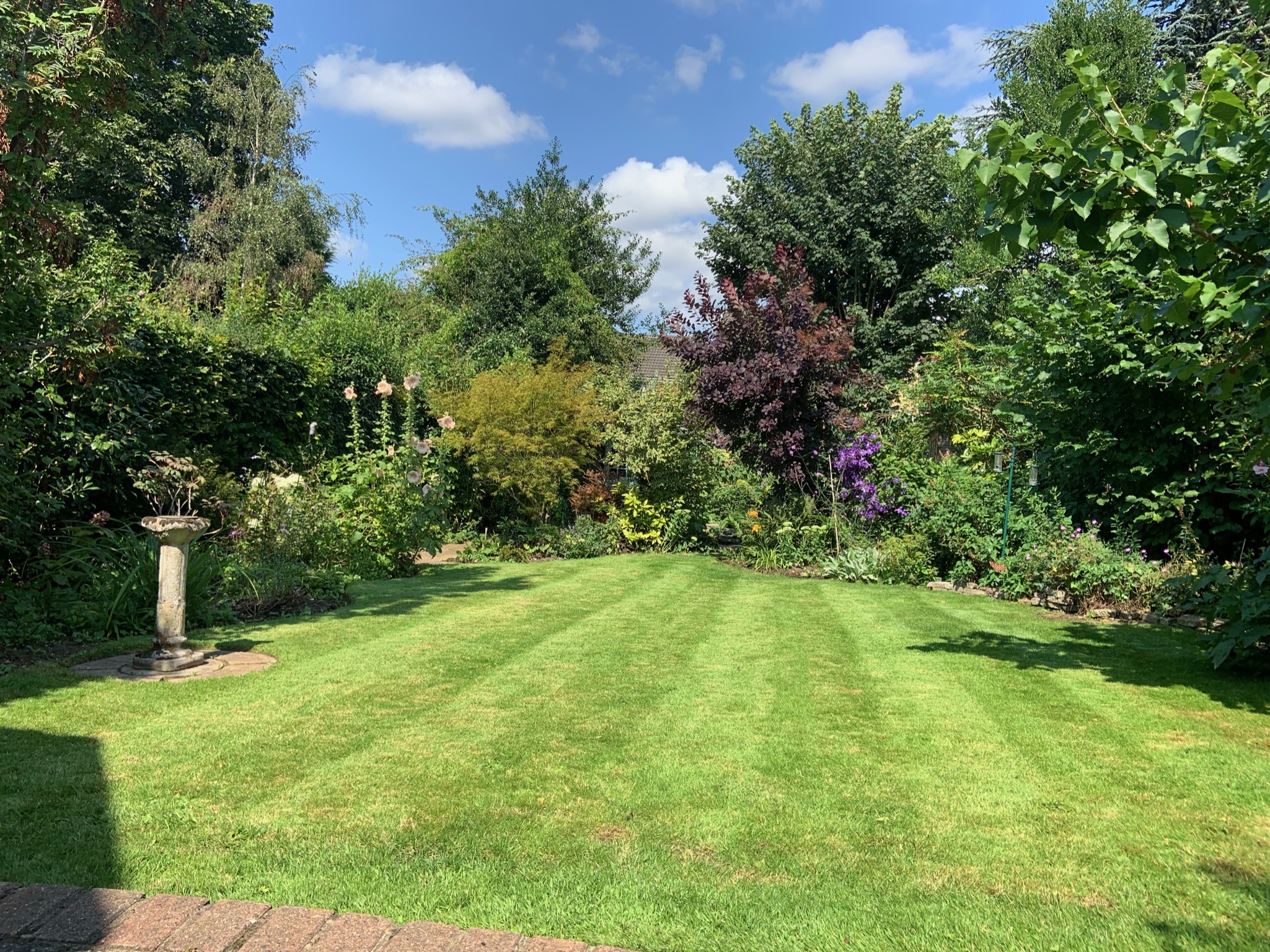 A well maintained garden lawn in the sun surrounded by trees and bushes
