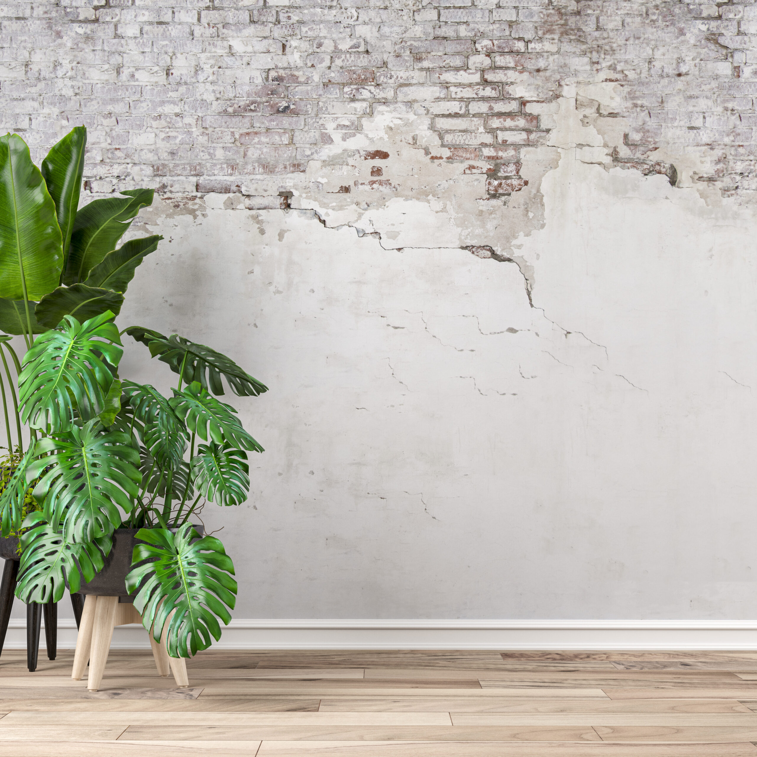 Empty ruined wall background with potted plants