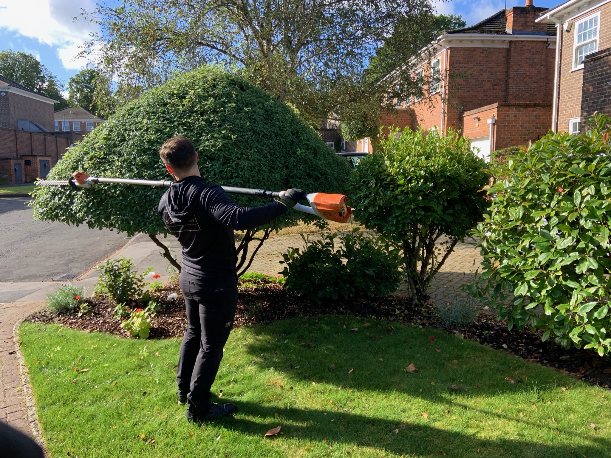 A Willow Alexander Team member shaping a bunch with his hedge trimmer