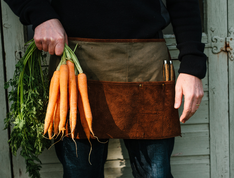 A Willow Alexander handyman with a brown gardening apron on holding a bunch of carrots