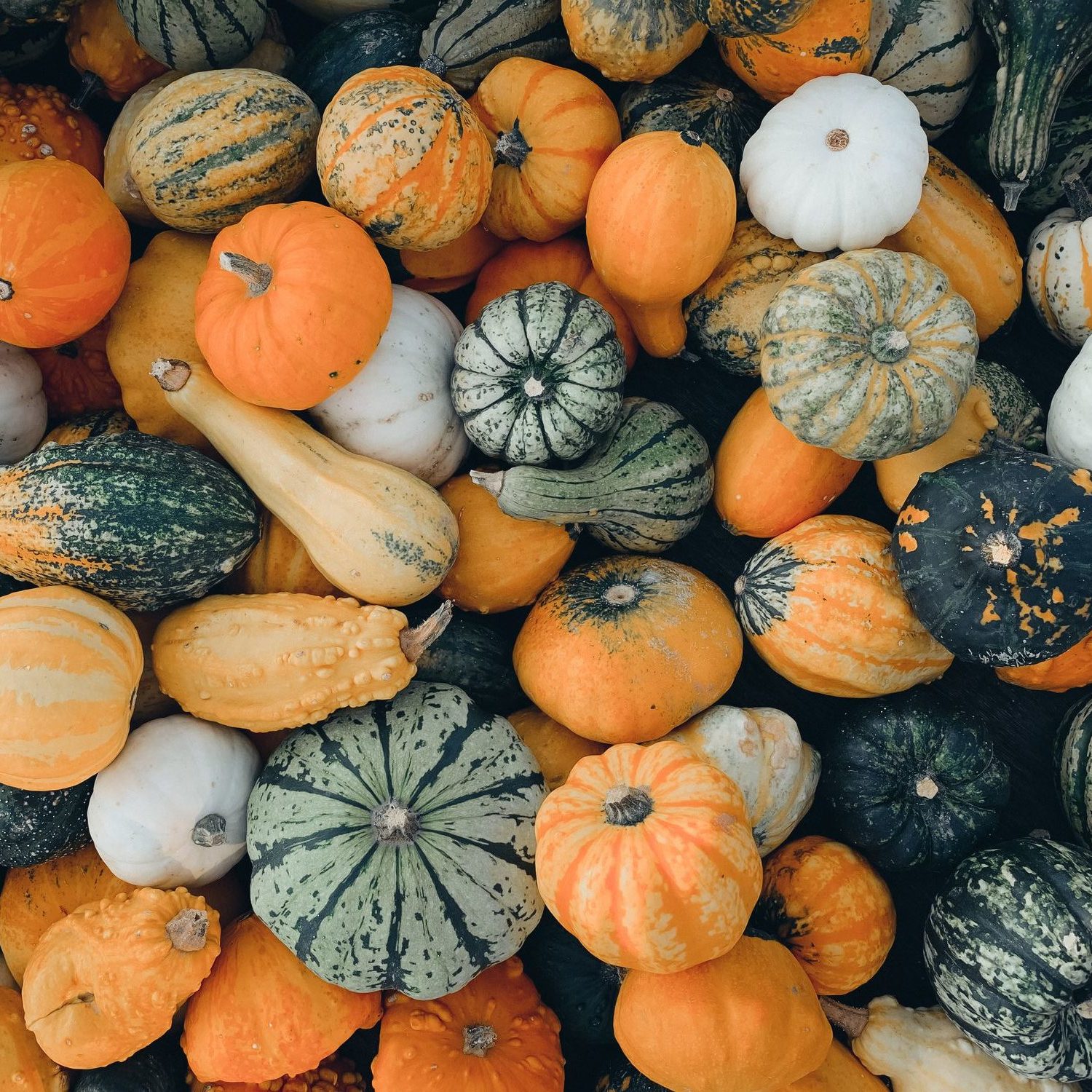 How to Reuse your Halloween Pumpkins
